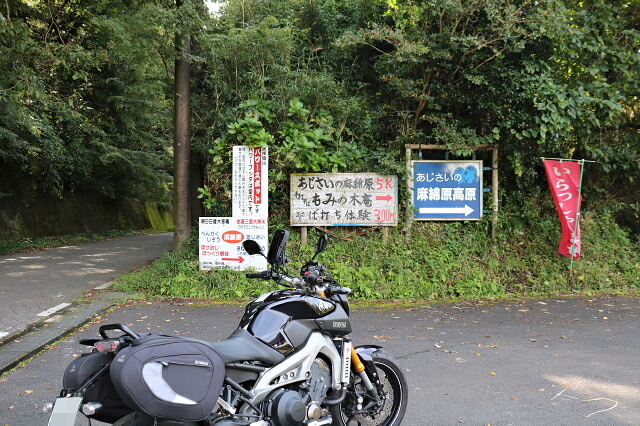a0222229_92662.jpg