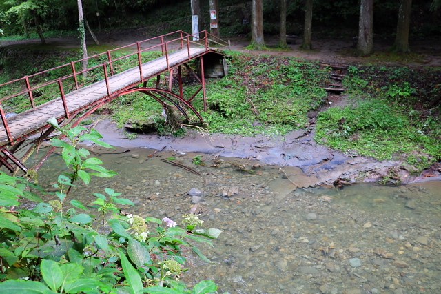 a0222229_97563.jpg