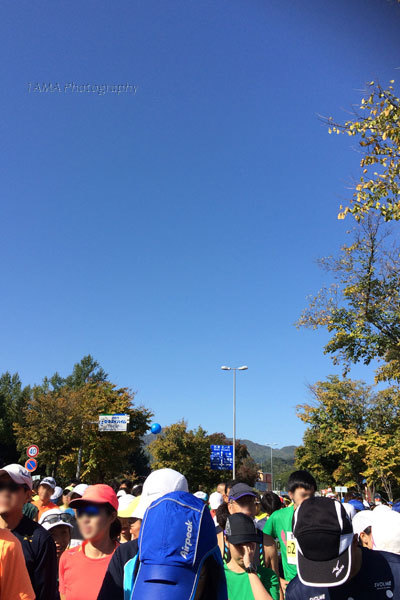c0024729_19354967.jpg