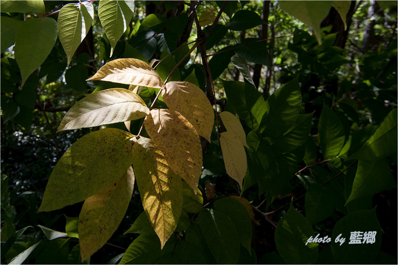 a0245331_14533799.jpg