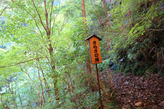e0272335_8351468.jpg