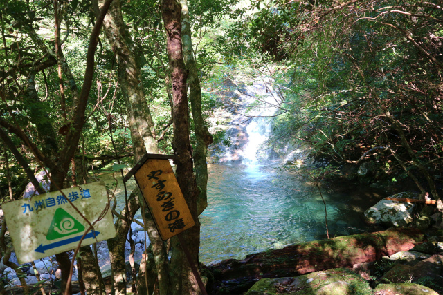 e0272335_83621.jpg