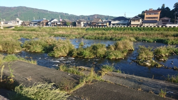 10月1日   夏の終わり。_c0266737_07210121.jpg