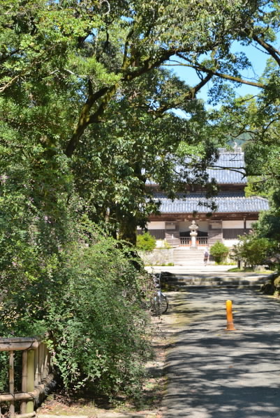 e0056537_19310721.jpg