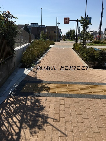 c0206342_19131063.jpg