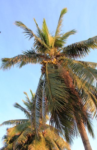 c0011649_05514702.jpg