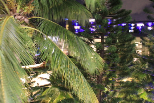 c0011649_05574134.jpg