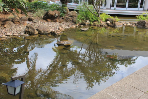 c0011649_06005778.jpg