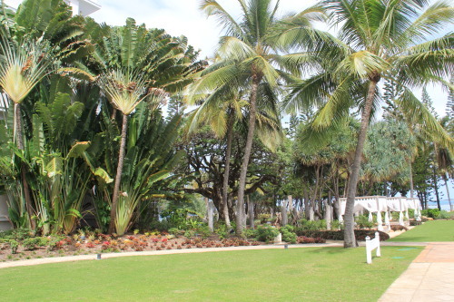 c0011649_06015898.jpg