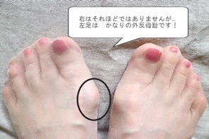c0178453_18225364.jpg