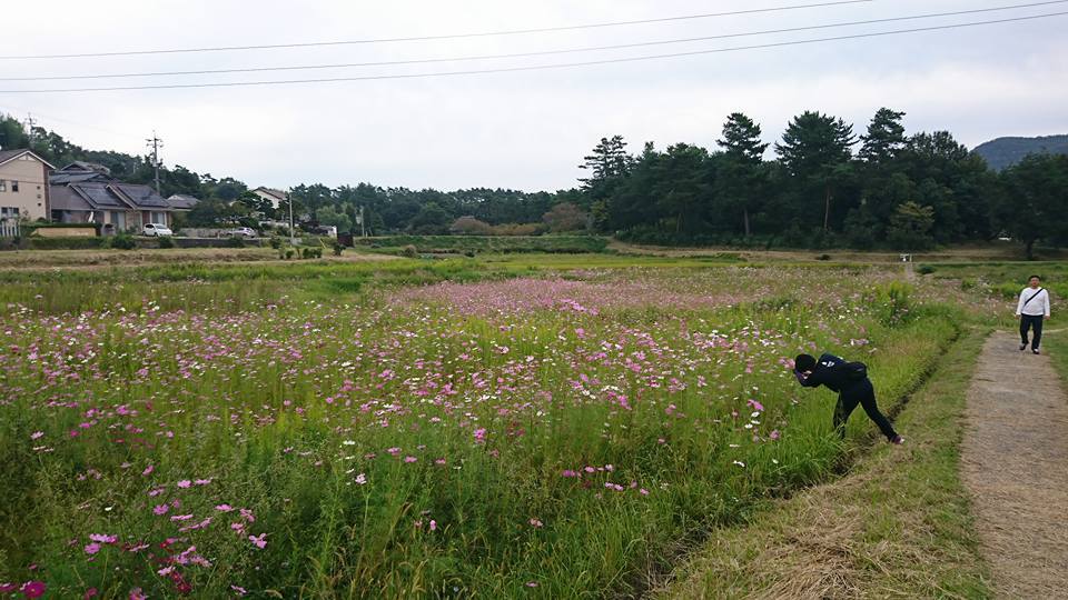 ポケ散歩～ライコウ登場！_f0037753_22530676.jpg