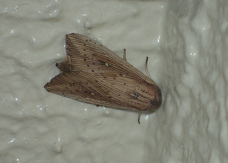 d0146854_08065847.jpg