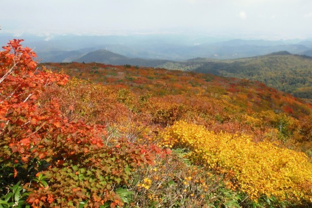 14年目の船形山山頂小屋へ薪の荷揚げ_c0294658_20341802.jpg