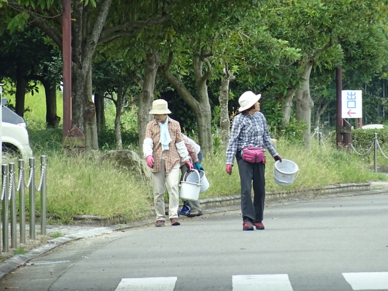 うみべの森は草刈りの季節だ_c0108460_20150418.jpg