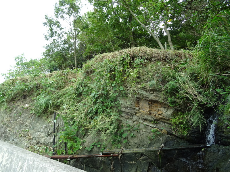 c0108460_20175431.jpg