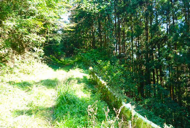 d0364962_22373440.jpg