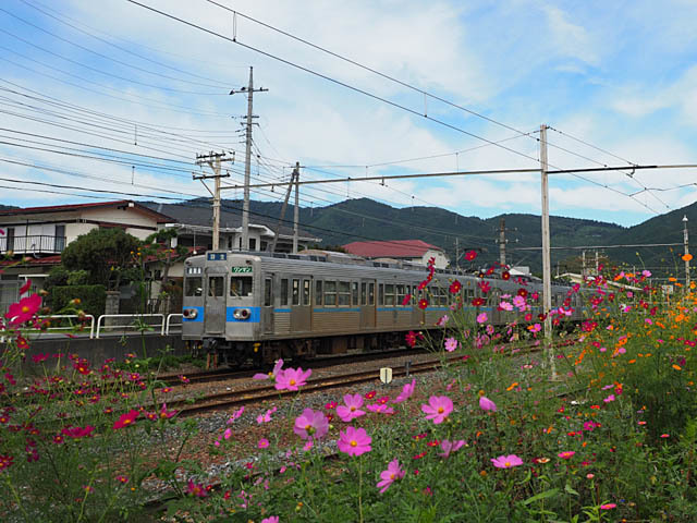 f0199866_20010356.jpg