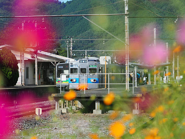 f0199866_20043711.jpg