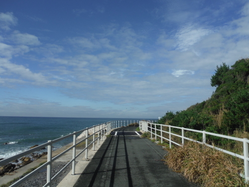 渥美半島・浜名湖グルメサイクリング_b0332867_22474854.jpg