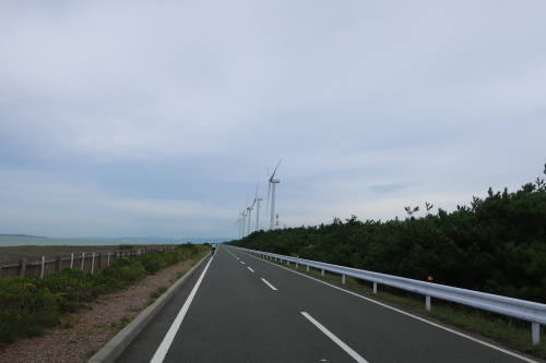 渥美半島・浜名湖グルメサイクリング_b0332867_23003098.jpg