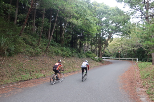 渥美半島・浜名湖グルメサイクリング_b0332867_23240910.jpg