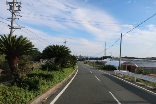 渥美半島・浜名湖グルメサイクリング_b0332867_23313221.jpg