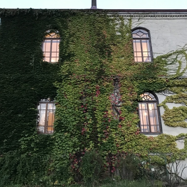 a0141072_21322070.jpeg