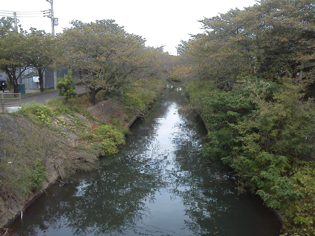 b0155973_21472844.jpg