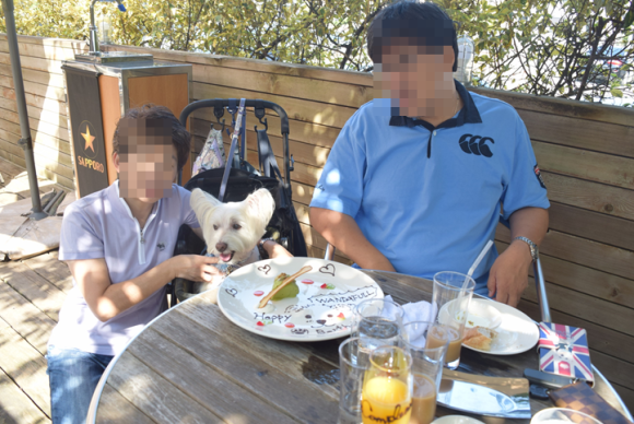 b0242873_00191744.png