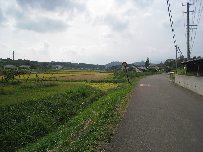 「浅川黒沼神社」と示現(慈現)太郎神社③_a0087378_830216.jpg