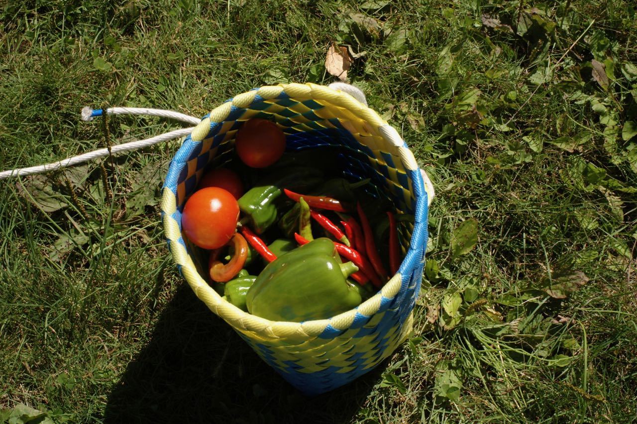f0124378_23083876.jpg