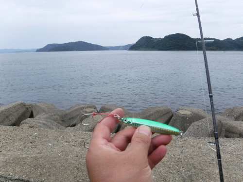 d0195183_19253847.jpeg