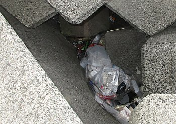 １０月１日 第４回下を向いて歩く日 単身赴任だったおじさんの 今晩はこれで飲むぞ