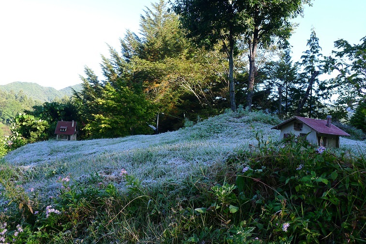 a0130586_08310373.jpg