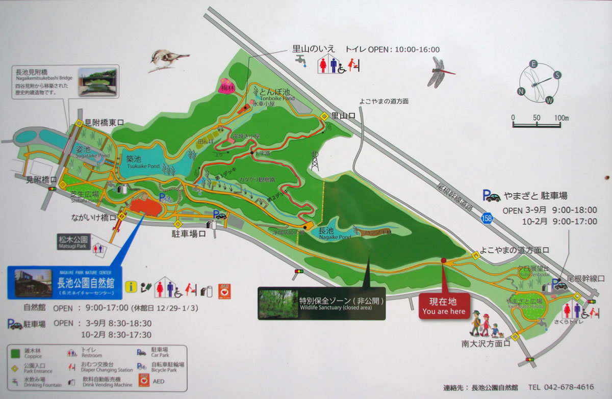 池みち様　おまとめ2点 数々伝説がある池① – 岐阜ネタ満載！レッツぎふ マガジン