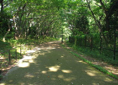 池みち様　おまとめ2点 数々伝説がある池① – 岐阜ネタ満載！レッツぎふ マガジン