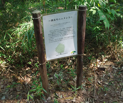八王子の公園/長池公園-2 : 八王子見て歩記