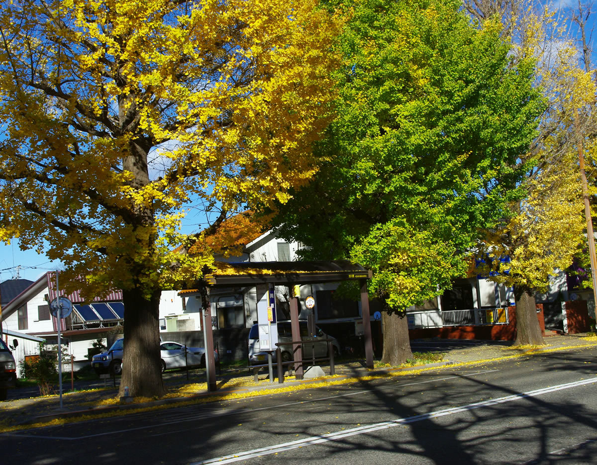 b0123486_17520889.jpg