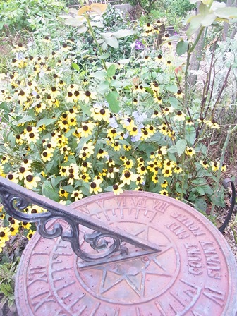 e0185787_1727104.jpg