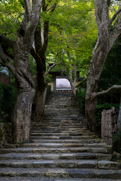寂光院_e0051888_06045007.jpg