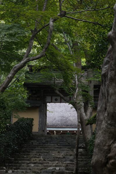 寂光院_e0051888_06045090.jpg