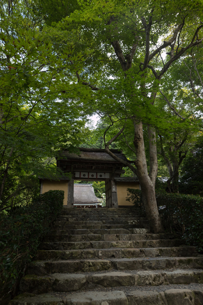寂光院_e0051888_06045095.jpg