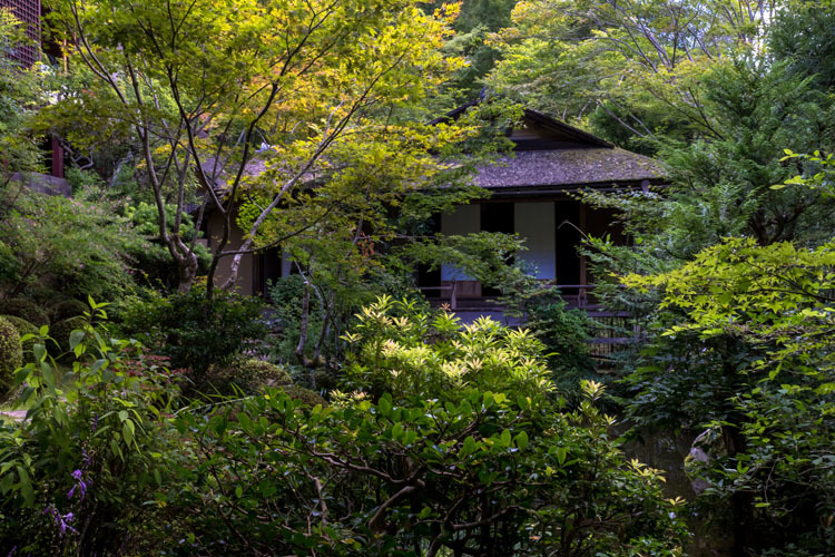 寂光院_e0051888_06045166.jpg