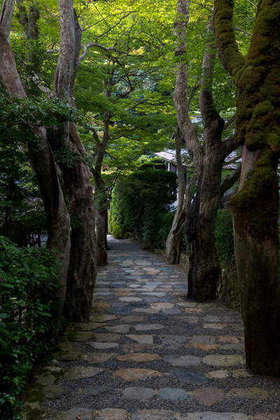 寂光院_e0051888_06053887.jpg
