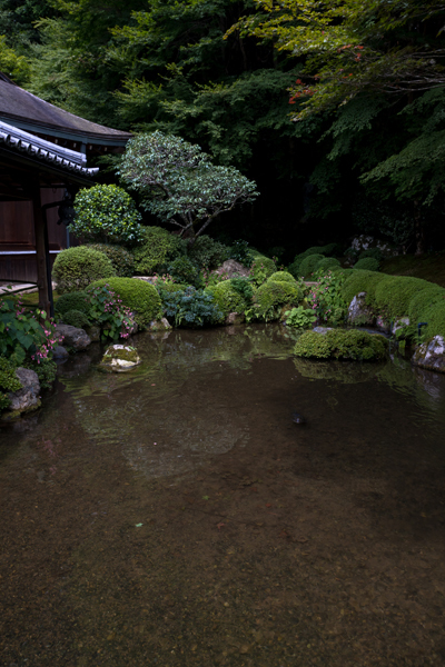 寂光院_e0051888_06053955.jpg
