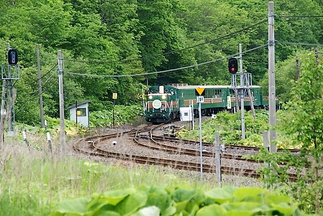 d0181492_23015692.jpg