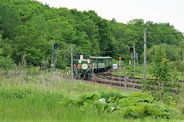 d0181492_23021298.jpg