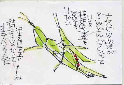 a0036693_23305057.jpg