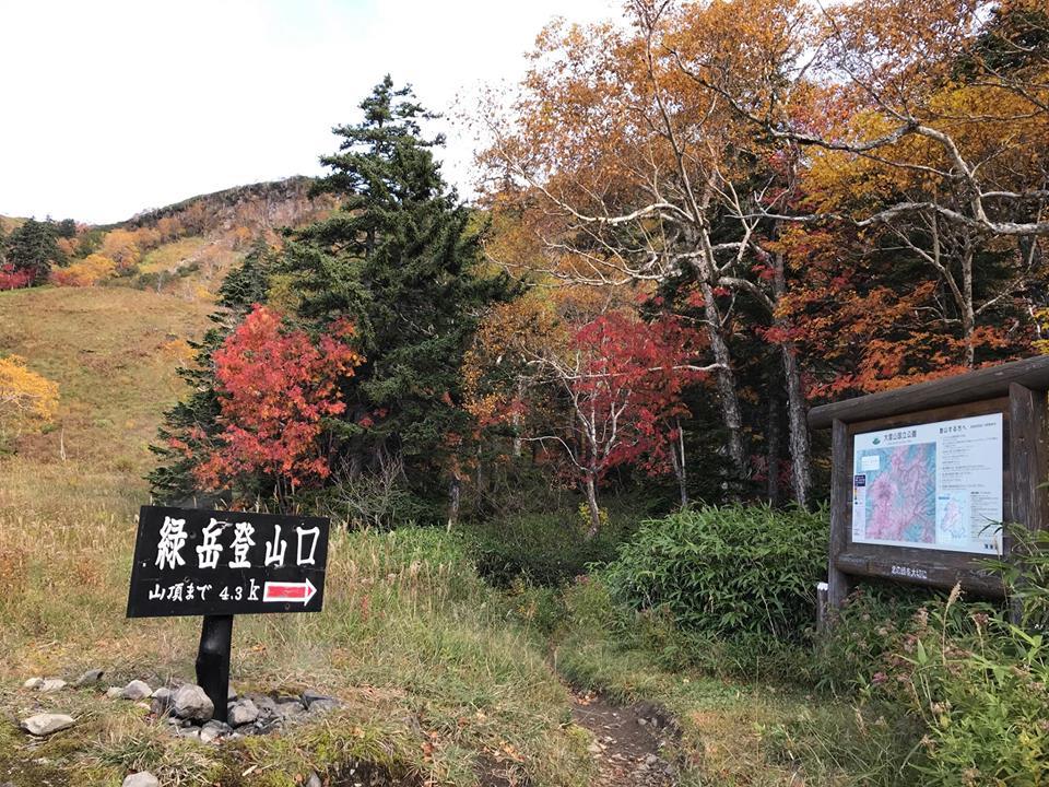 d0198793_13175066.jpg