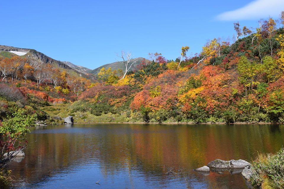 緑岳と高原沼巡りへ行ってきました。_d0198793_13175245.jpg